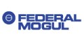 Federal-Mogul Systems Protection Group